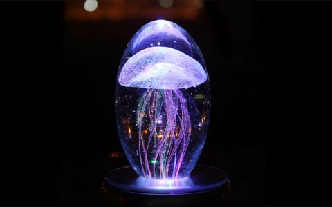 创意水母旋转水晶八音盒_星空礼物街