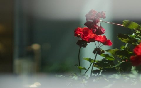 早上吸引朋友圈的句子，早上发朋友圈的句子