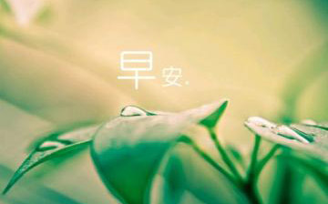 发朋友圈早安的句子，发朋友圈的潮流句子