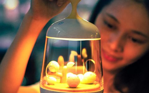 送同学的生日礼物排行榜，同学生日送什么礼物好