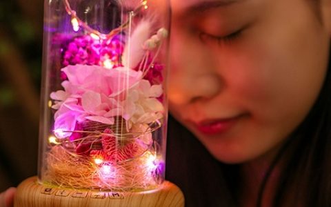 许愿流光玻璃罩永生花