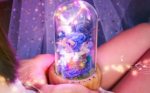 送女朋友礼物排行榜，送女朋友什么礼物好