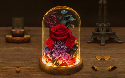 永生花玻璃罩玫瑰花礼盒_星空礼物街